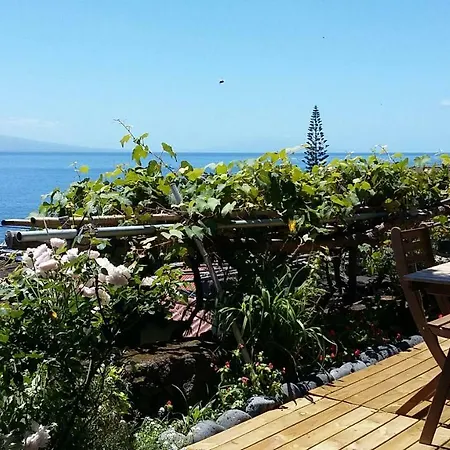 Casa Do Ze - Al Летний дом Manadas