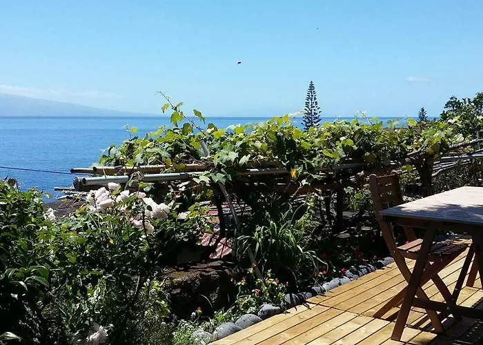 Casa Do Ze - Al Летний дом Manadas